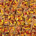 ⁦راحة تركية بالفستق الحلبي وجوز الهند – 500غ⁩ - الصورة ⁦2⁩