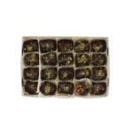 أصابع بقلاوة بالفستق والشوكولاتة – 300غ