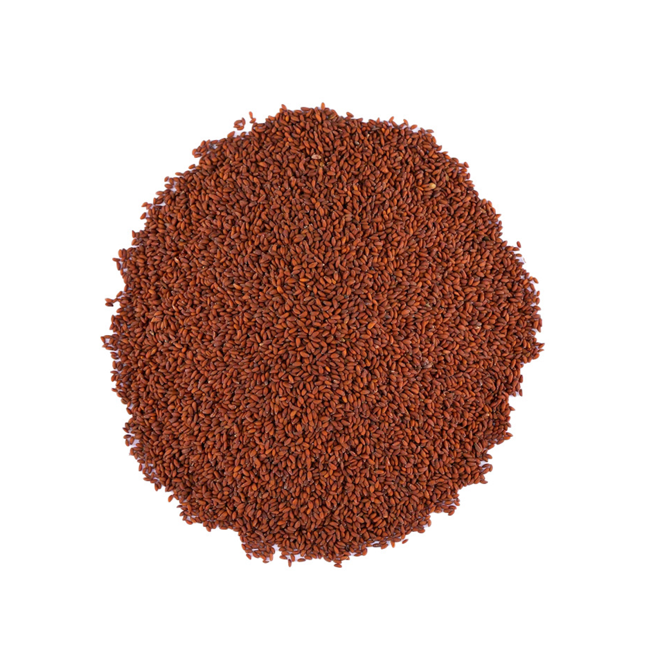 بزور-الرشاد-250غ بذور الرشاد – 250غ - الصورة 1