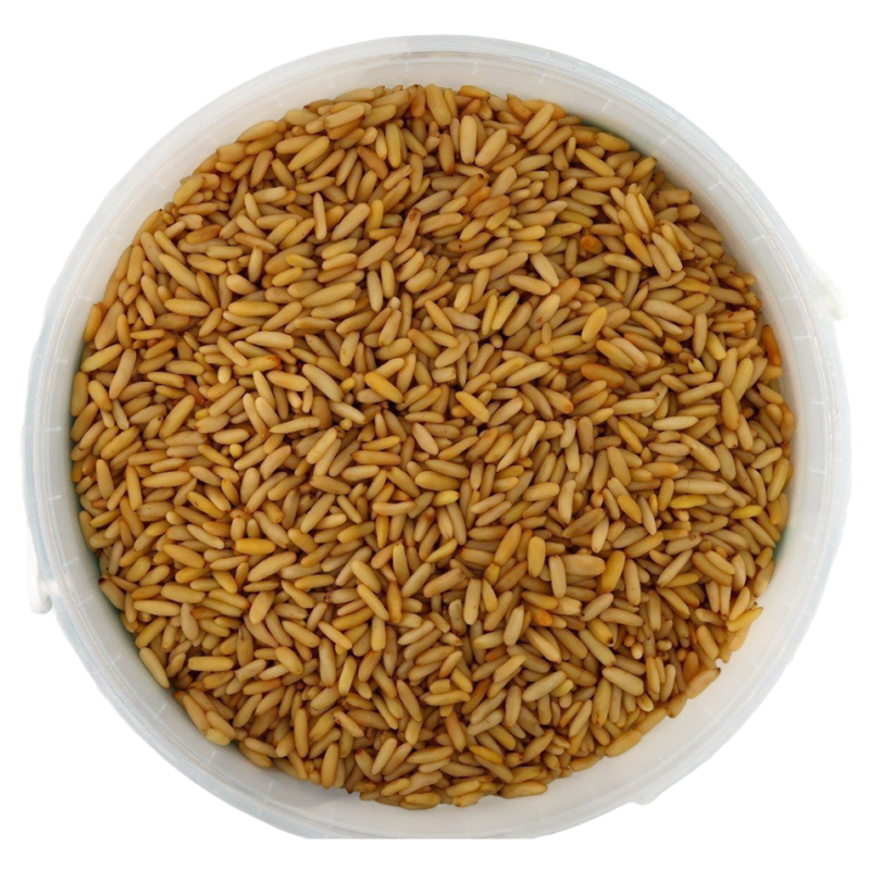 Premium pine nuts – 250 g / 500 g
