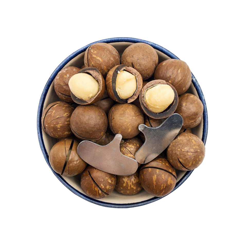 ماكادميا-500غ مكاديميا بالقشرة – 500غ مع مفتاح خاص - Image 1