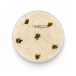 غزل البنات - 600غ